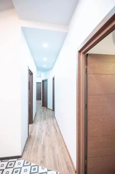 Rooftop Grey Apartment At Rustaveli Avenue Tbilisi